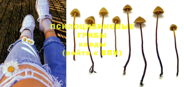 хмурый Новодвинск