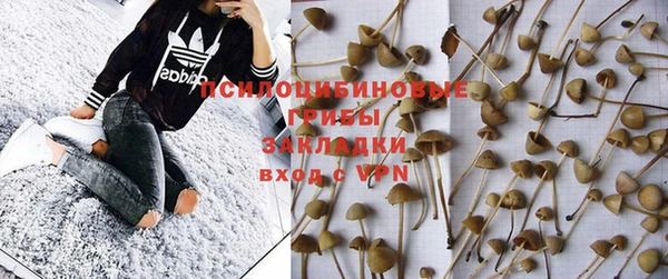 марихуана Новозыбков