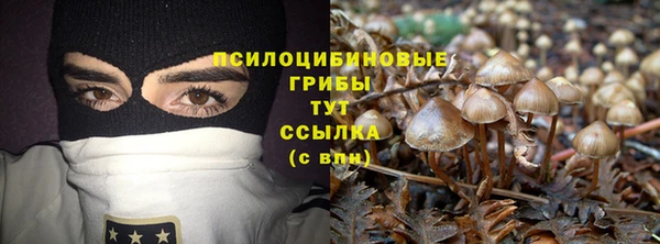 хмурый Новодвинск