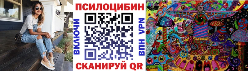Галлюциногенные грибы Cubensis  Купить где  Тихорецк 