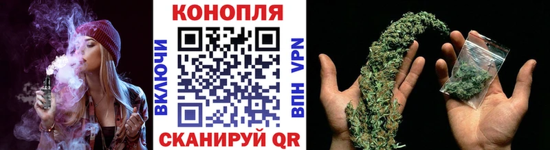 Купить где  Тихорецк  Бошки марихуана сатива 